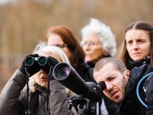 Visite guidée d'une zone humide en Seine-et-Marne