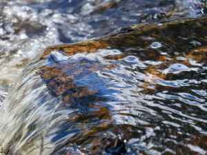 eau d'une rivière