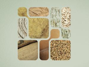 Visuel exposition "Chanvre"