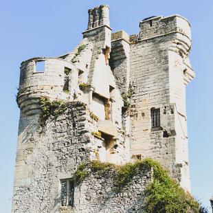 Donjon du Houssoy