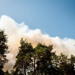 Incendie de la forêt de Fontainebleau