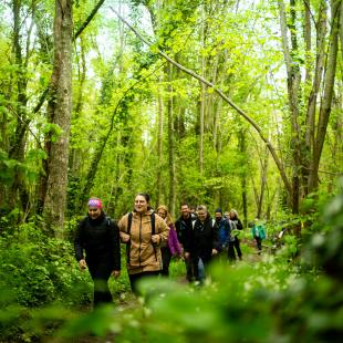 Randonneurs dans la forêt de Fontainebleau