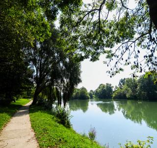 canton de Chelles