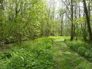 Espace naturel sensible - Les îles de l'Orvanne