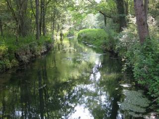 Espace naturel sensible- Les Bordes Chalonges