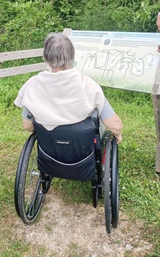 Nature handicap