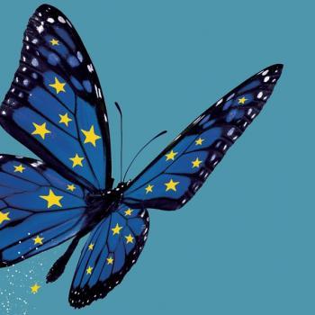 Papillon aux couleurs de l'Union européenne