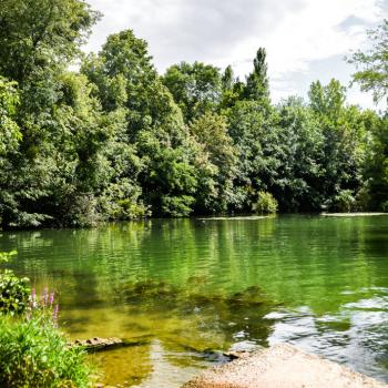 Un étang en Seine-et-Marne