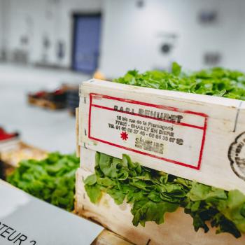 Salade provenant de l'agriculture locale