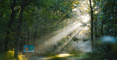 ENS Bois de la Rochette