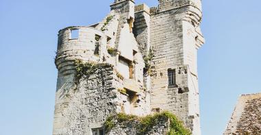 Donjon du Houssoy