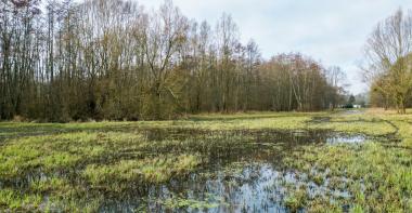 ENS la Frayère du marais