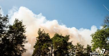 Incendie de la forêt de Fontainebleau
