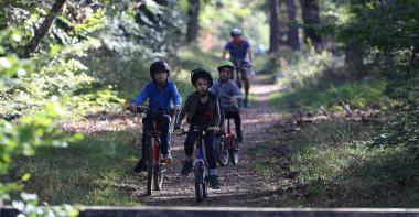 Vélo forêt Fontainebleau 