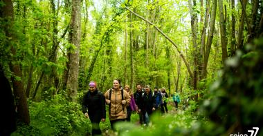 Randonneurs dans la forêt de Fontainebleau