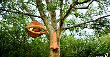 œuvres en terre cuite en forme d'œil et de nez dans un arbre