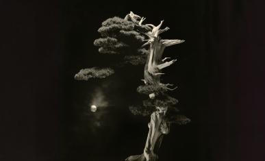 Une oeuvre photographique de Masao Yamamoto 