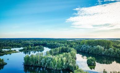 Le Marais d'Épisy vu du ciel