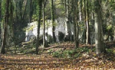 Espace naturel sensible, le bois de la Bergette