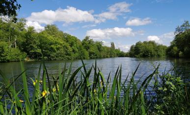 Espace naturel sensible les Basses Godernes au printemps