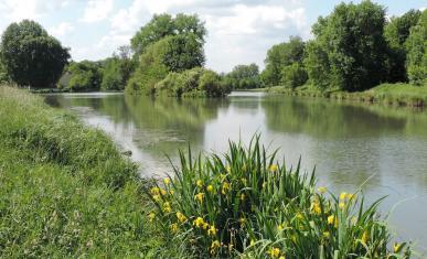 la rivière L'Orvanne