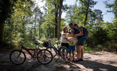une famille avec des vélos dans une forêt