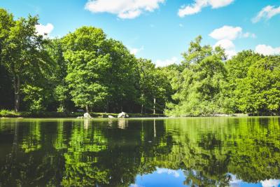 Forêt domaniale d'Armainvilliers