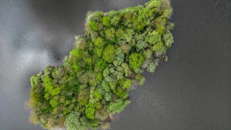 Une île boisée en Seine-et-Marne vue du ciel