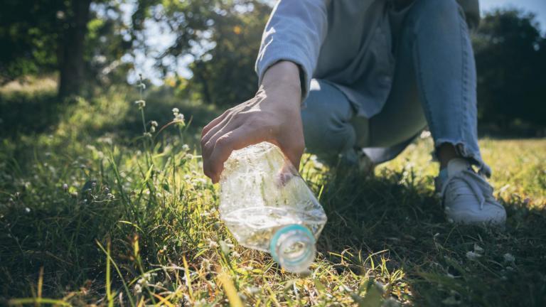 Ramasse des déchets dans une forêt