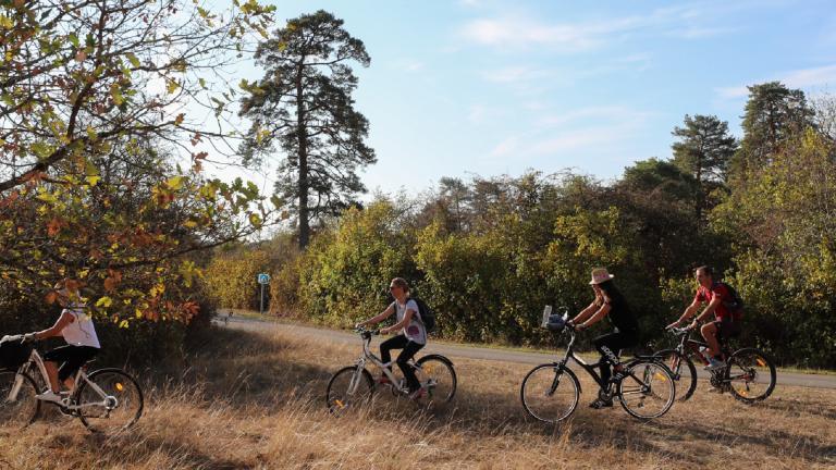 Des cyclistes en pleine nature en Seine-et-Marne