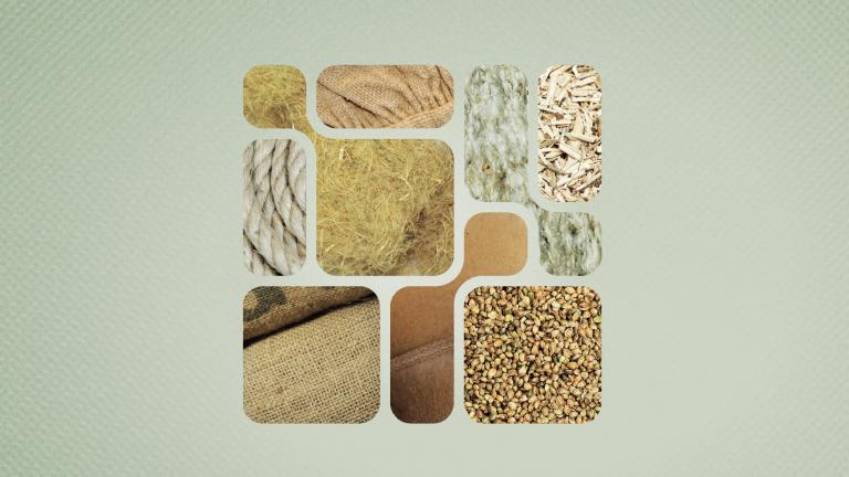 Visuel de l'exposition "Chanvre"