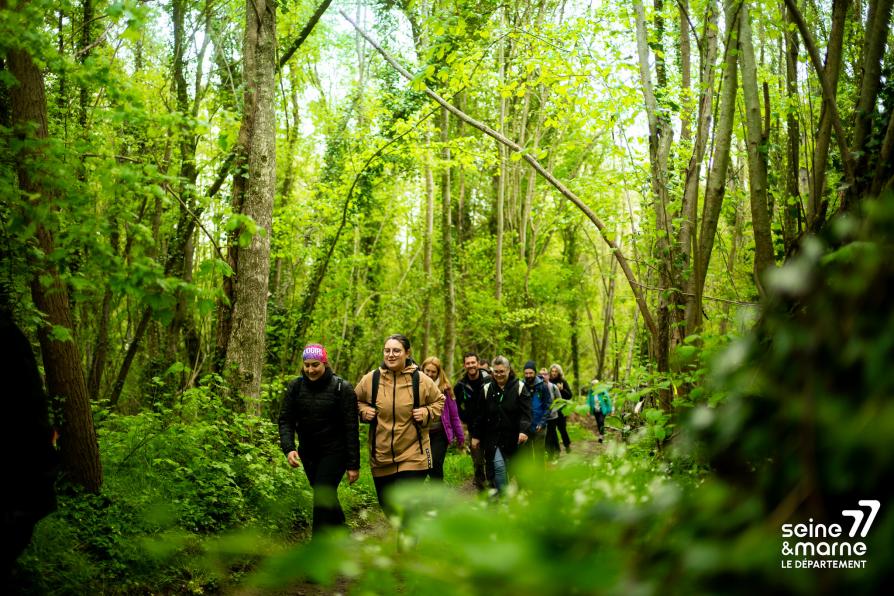 Randonneurs dans la forêt de Fontainebleau