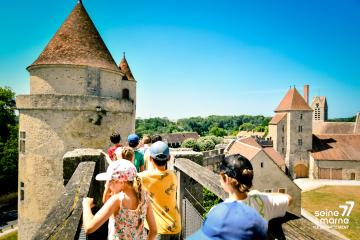 Le château de Blandy vu des murailles