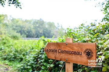 prairie clemenceau