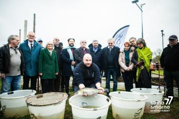 rempoissonnement canal du Loing