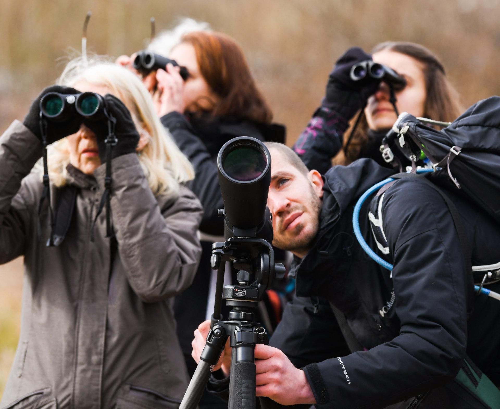 Des personnes observent les oiseaux avec des jumelles