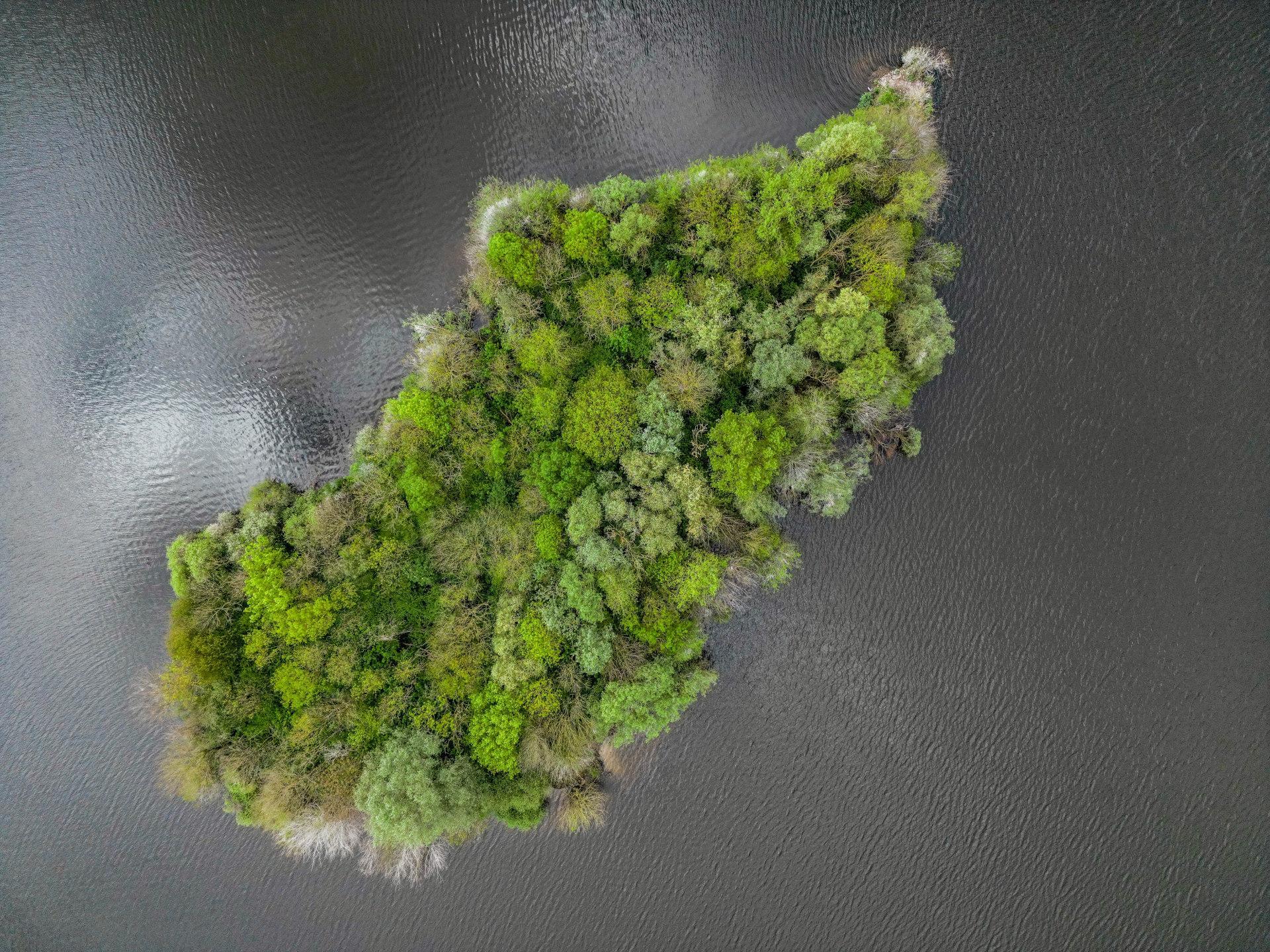 Une île boisée en Seine-et-Marne vue du ciel